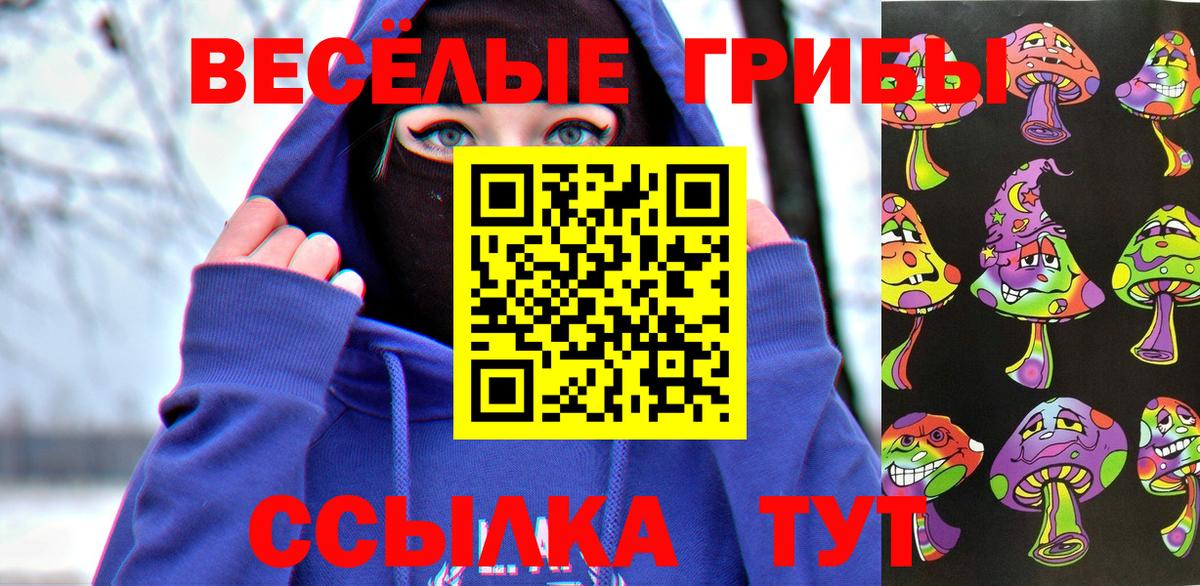 Галлюциногенные грибы Psilocybine cubensis Выкса
